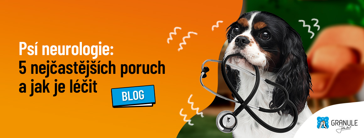 web_1160x441_blog_2024_5_nejcastejsich_neurologickych_poruch_u_psu[1]